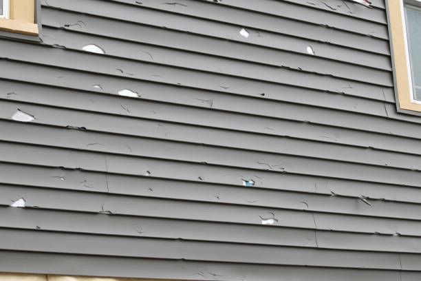 Best Custom Siding Design  in Bellingham, WA